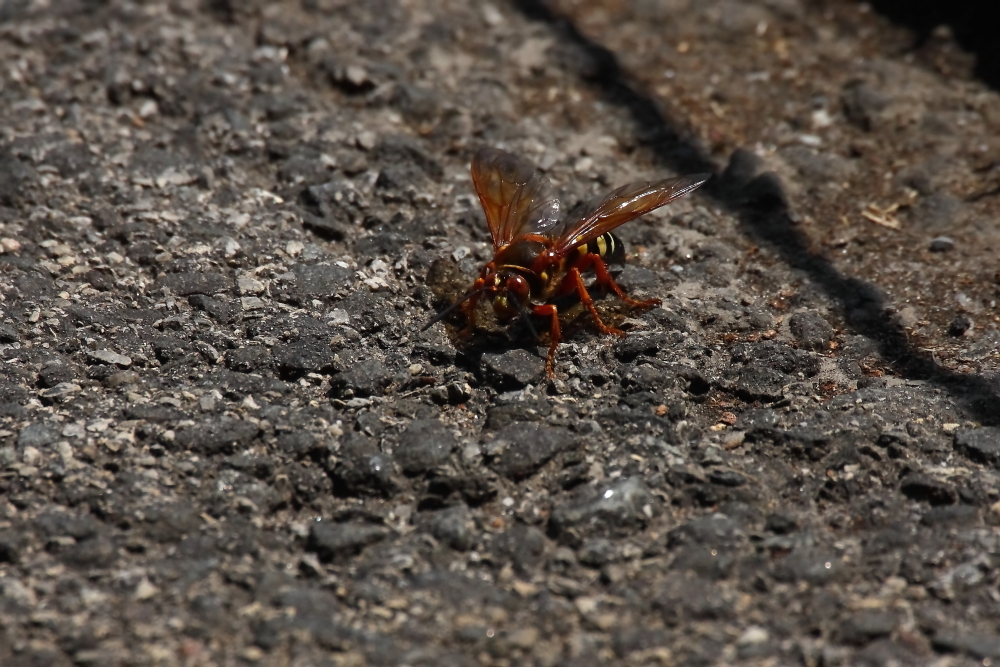 2013 08 02 HTP 00287e