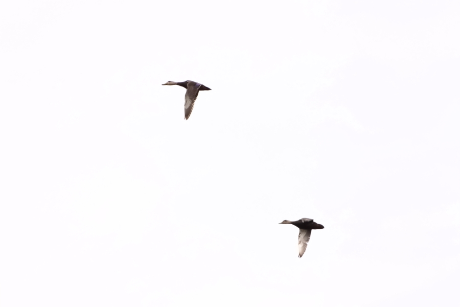 2012 03 09 8744
