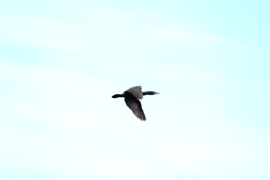 2012 04 11 9999 180