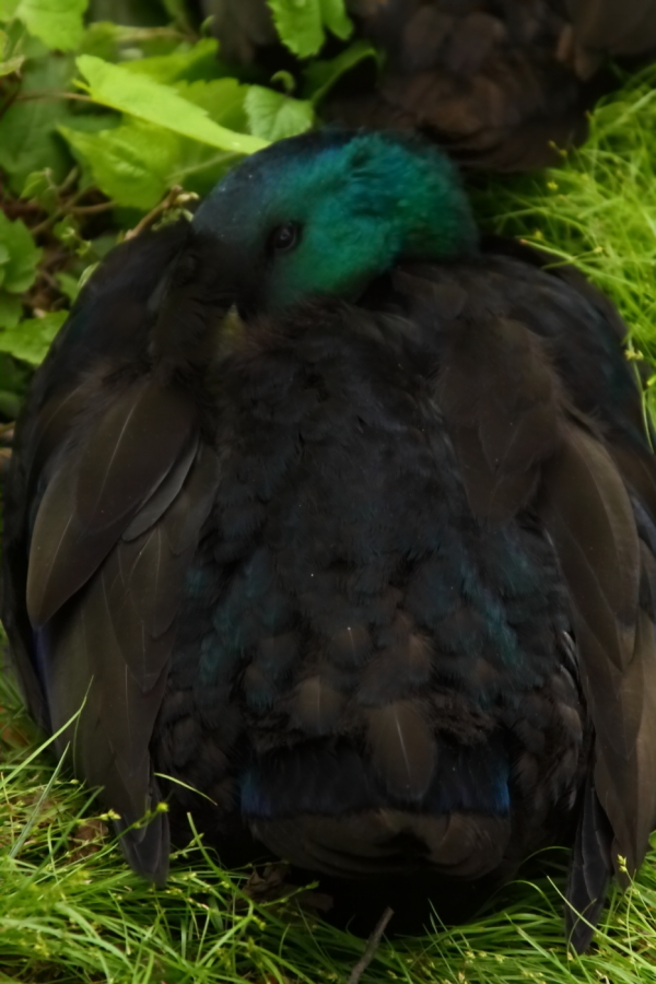 2012 05 08 1686