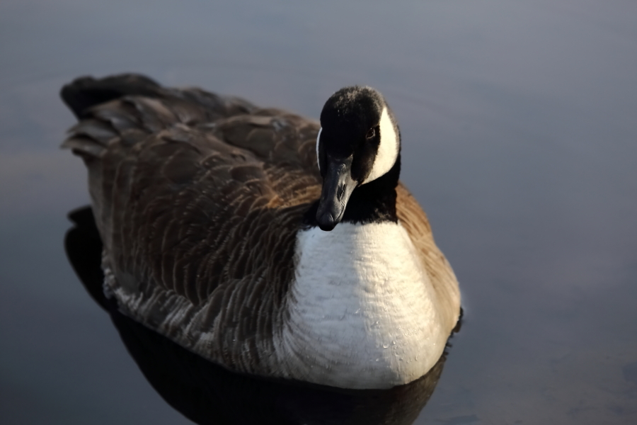 2013 03 31 IMG 01211e