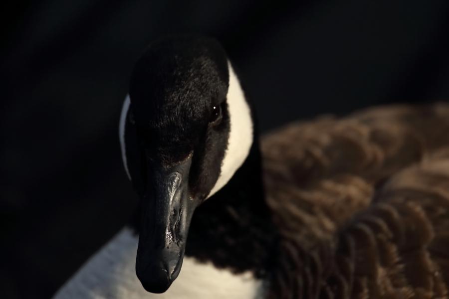 2013 03 31 IMG 01272e