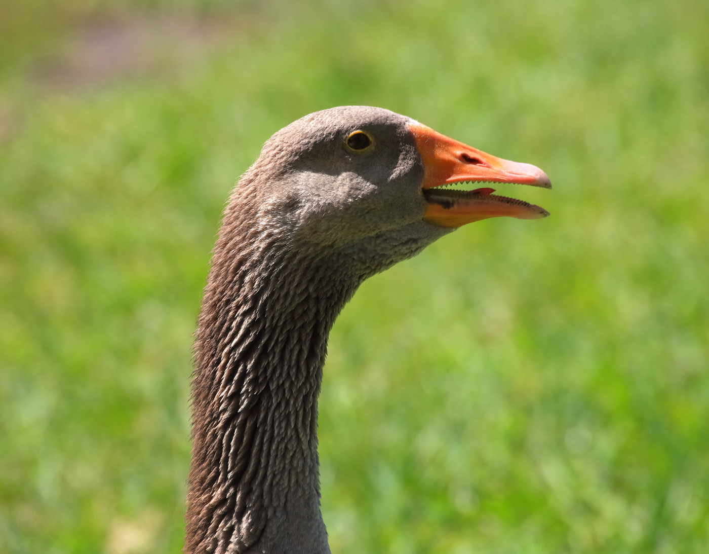 2019 05 23 HTP 50456e