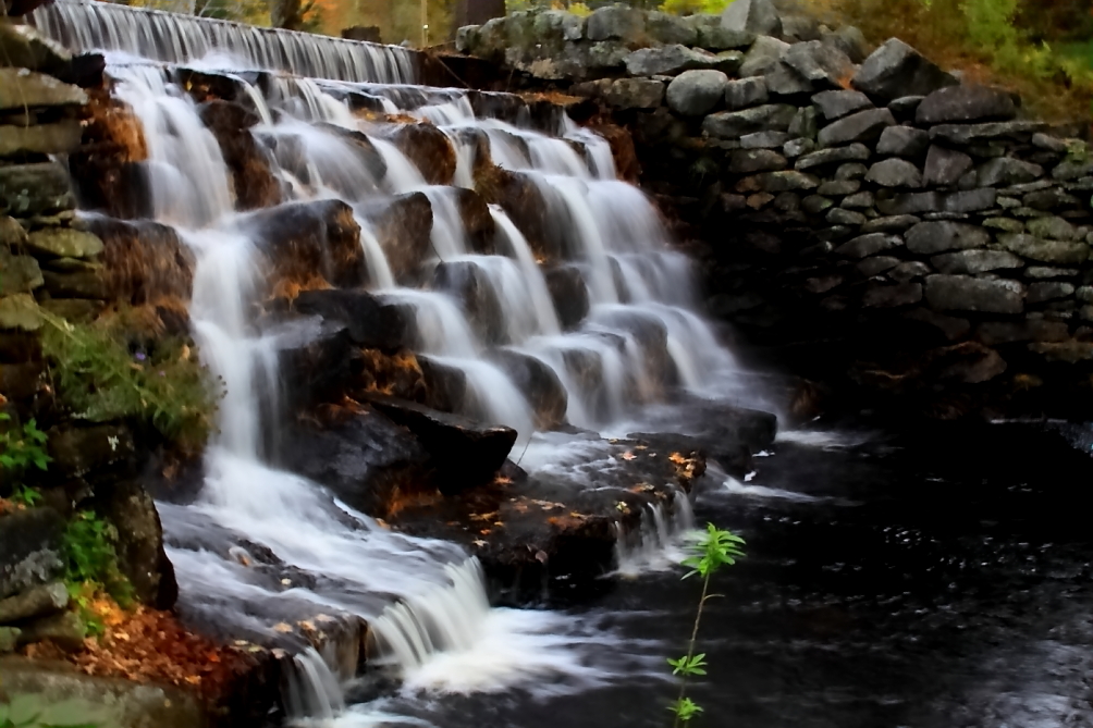 2010 10 11 IMG 11629