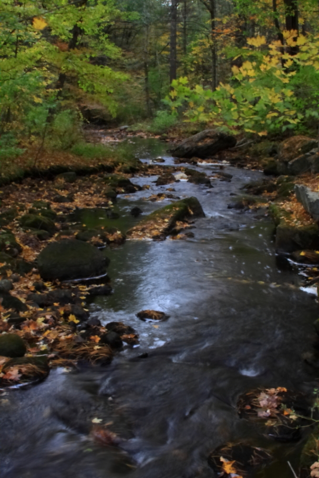 2010 10 11 IMG 11633