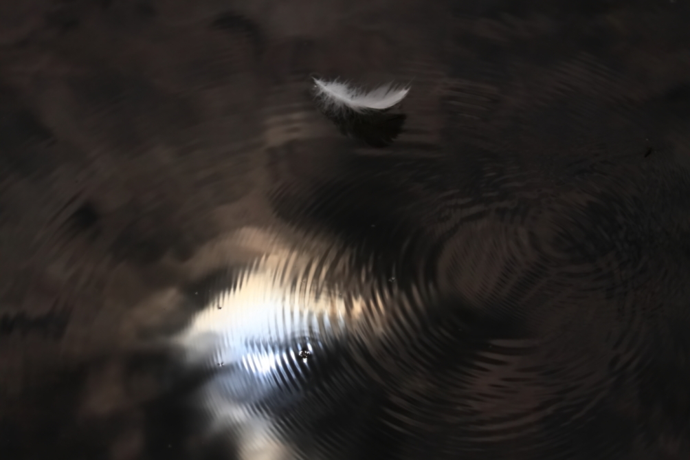 2011 04 24 IMG 28466