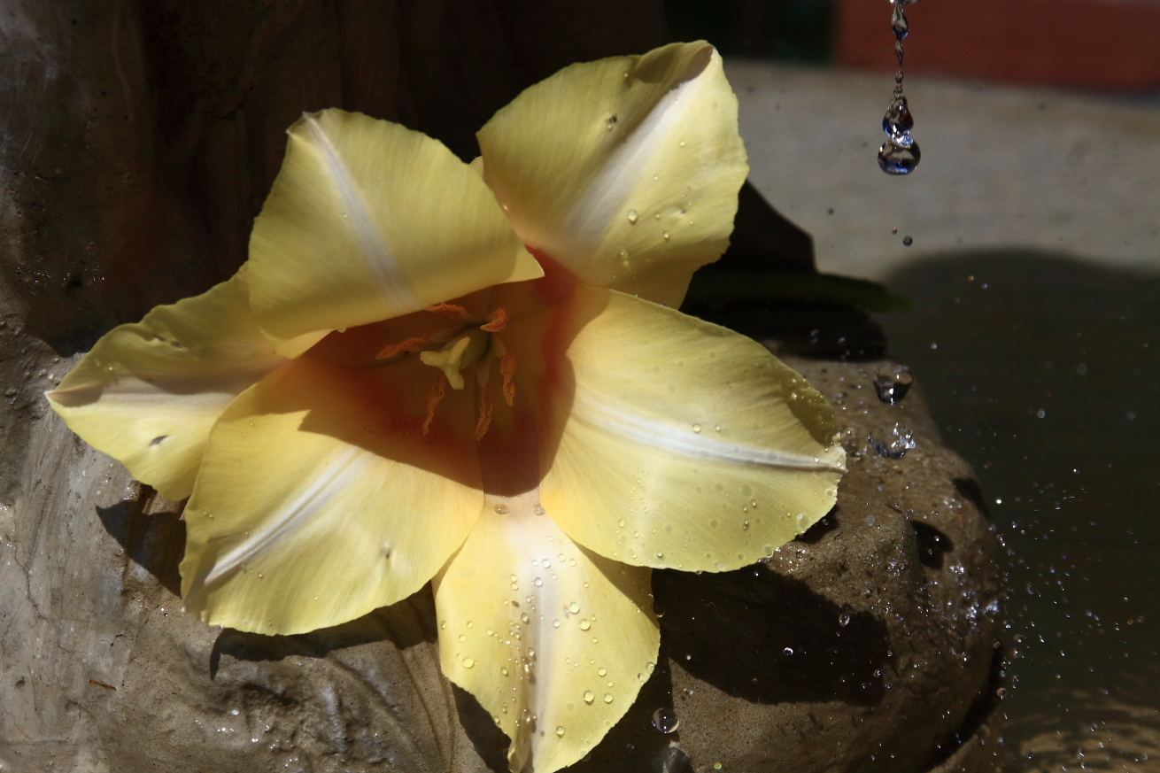 2011 05 01 IMG 29900
