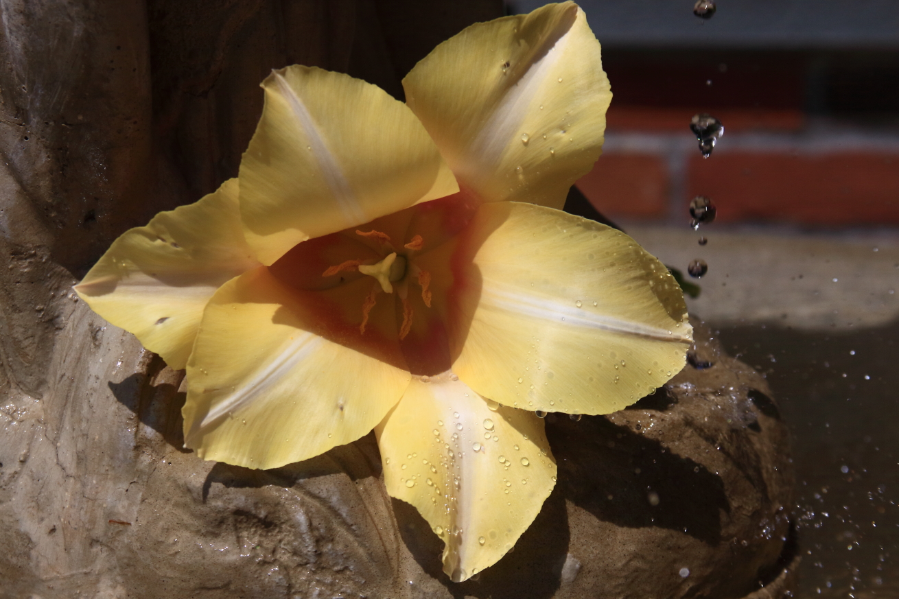 2011 05 01 IMG 29902