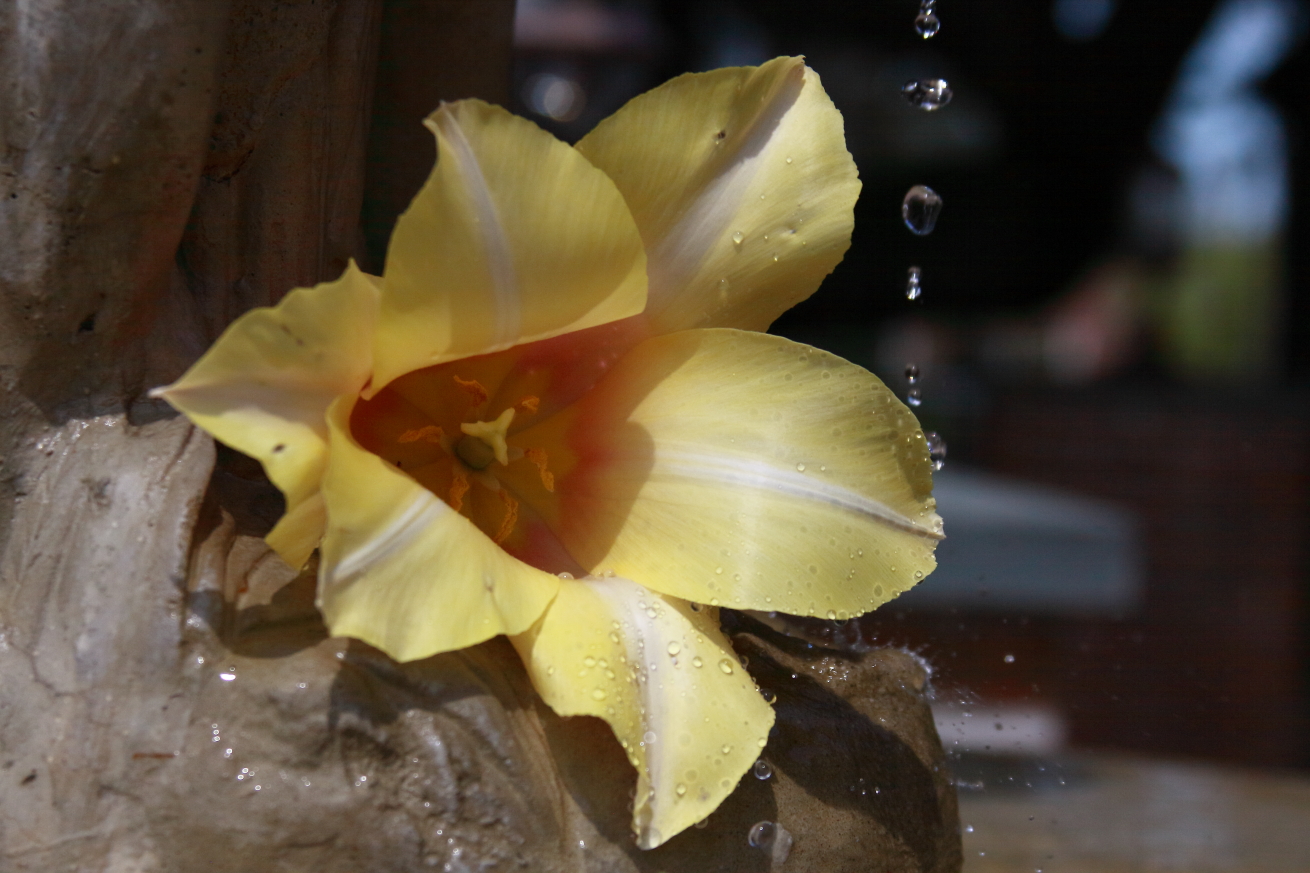 2011 05 01 IMG 29915