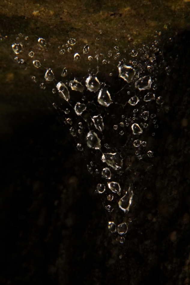 2011 05 22 IMG 32043