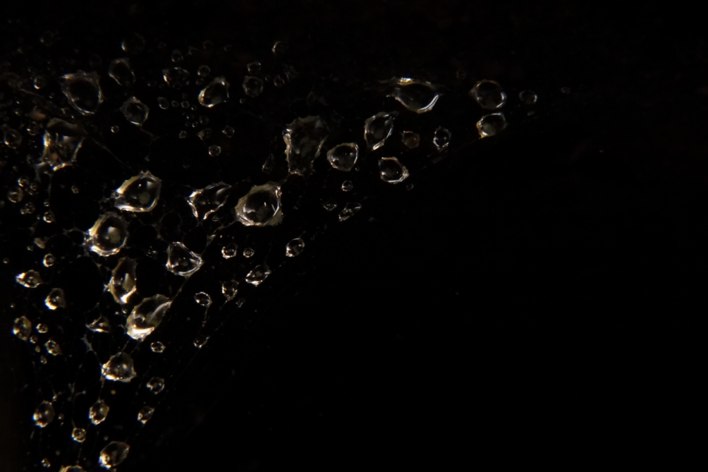 2011 05 22 IMG 32046