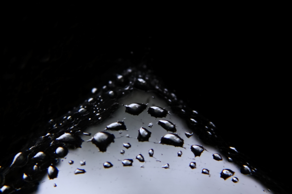 2011 05 22 IMG 32089
