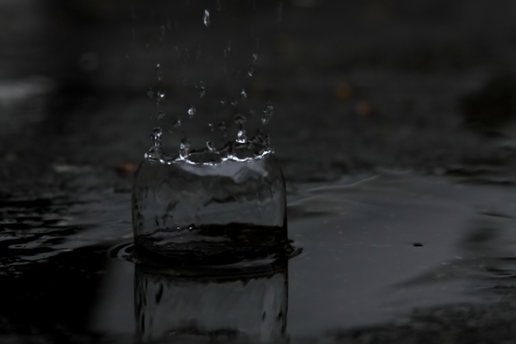 2011 05 23 IMG 32368ea
