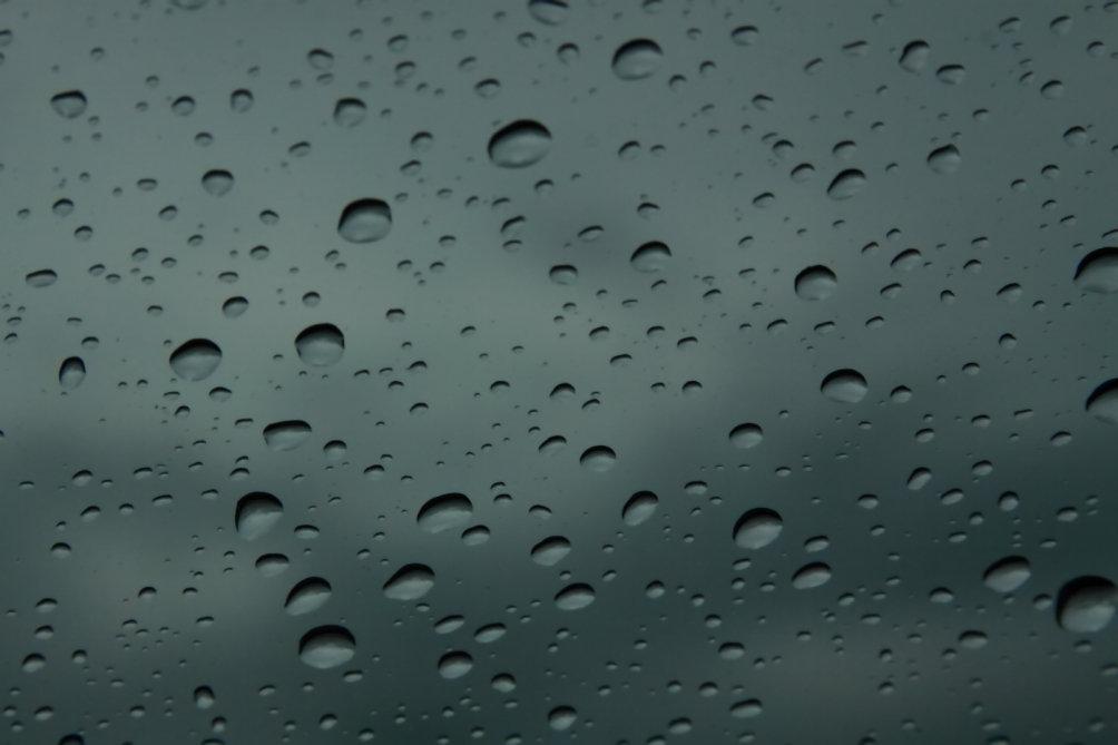 2011 09 15 IMG 36899