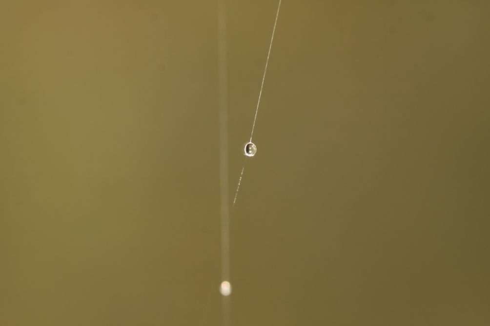 2012 03 13 9999 31