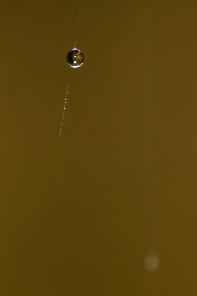 2012 03 13 9999 34e