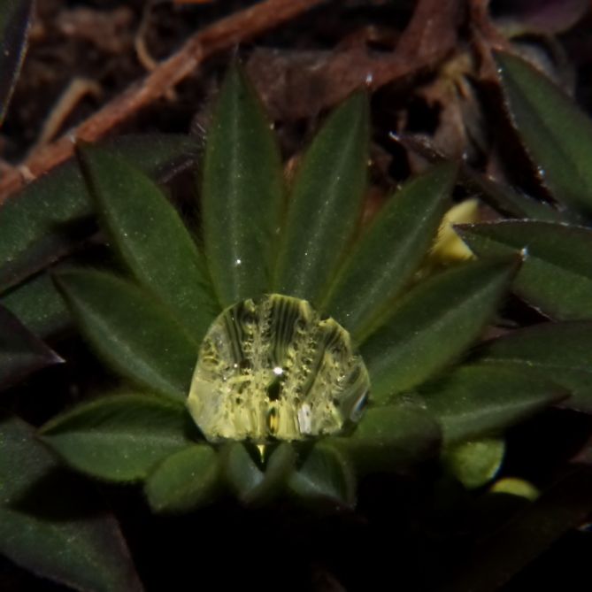 2012 03 17 9999 67e