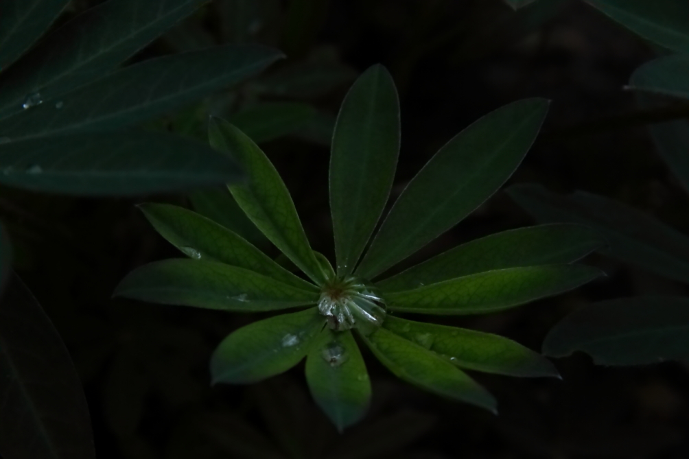 2012 05 05 1497