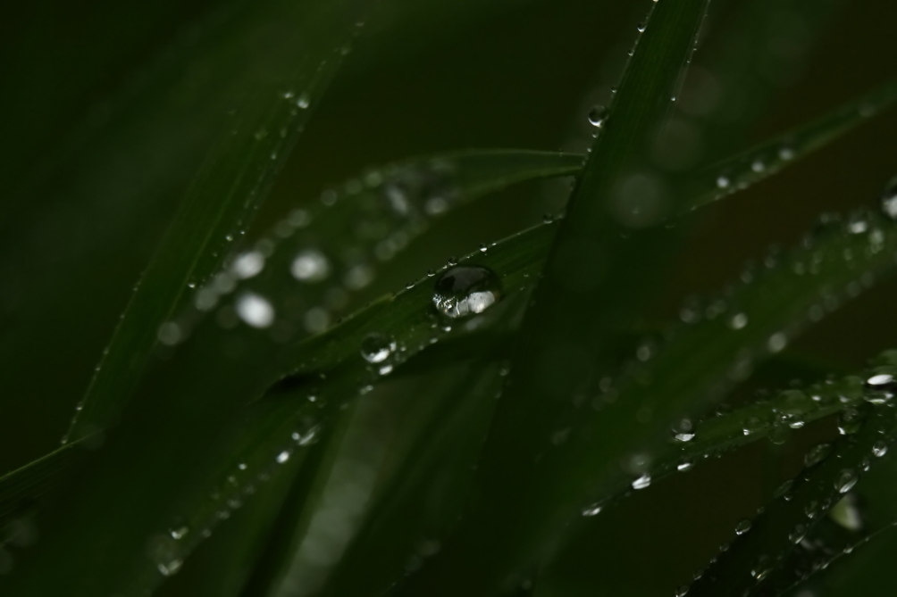 2013 05 19 IMG 07029e