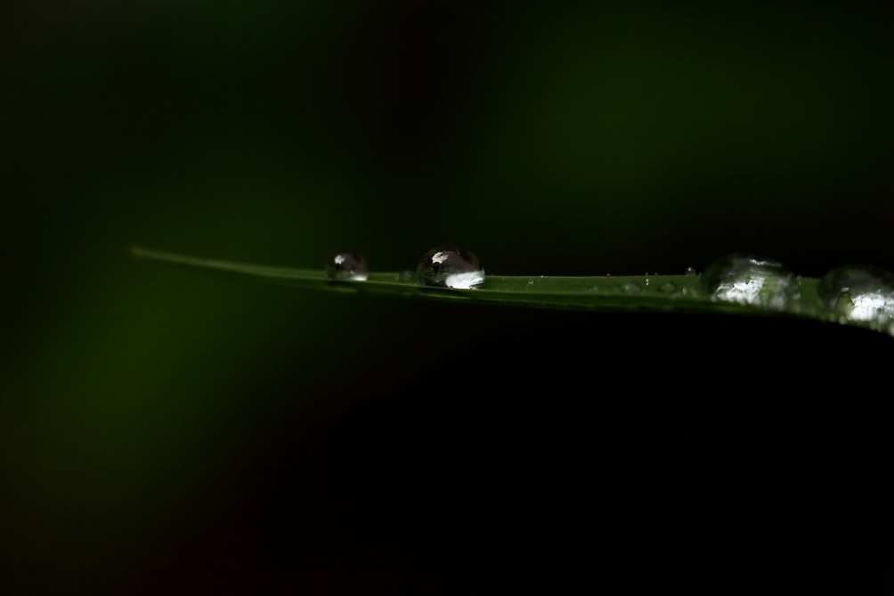 2013 05 19 IMG 07043e