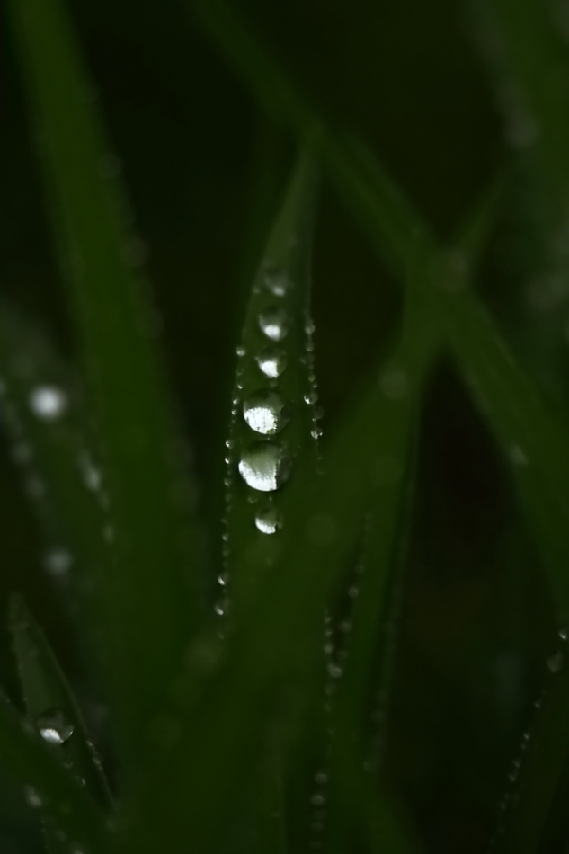 2013 05 19 IMG 07048e