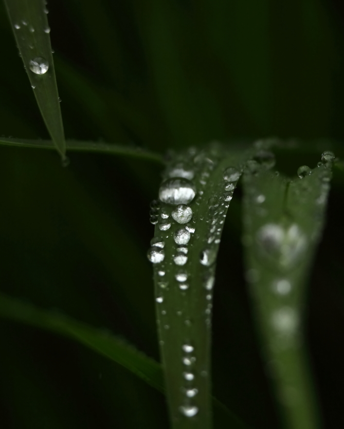 2013 05 19 IMG 07062e