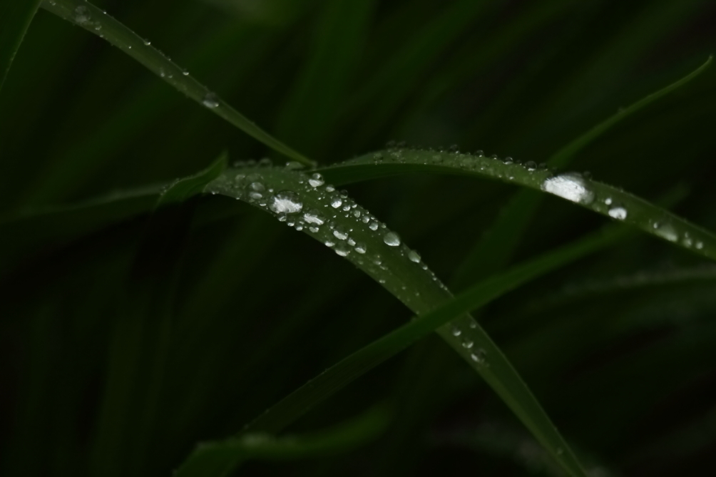 2013 05 19 IMG 07068