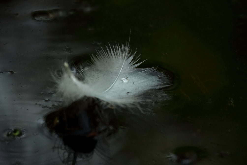 2013 05 21 IMG 07366e