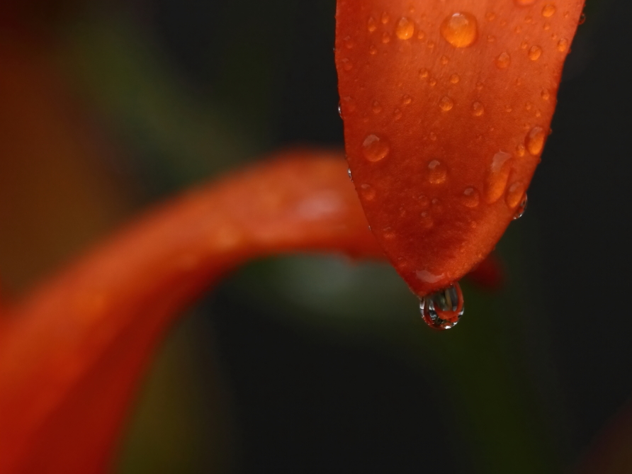 2013 07 01 IMG 12453e