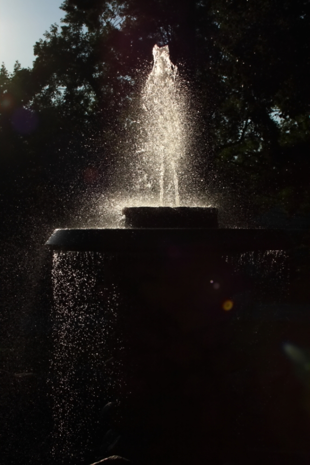 2013 08 14 HTP 02900