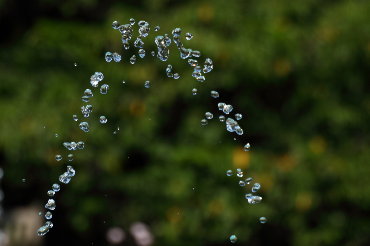 2013 08 29 HTP 04276