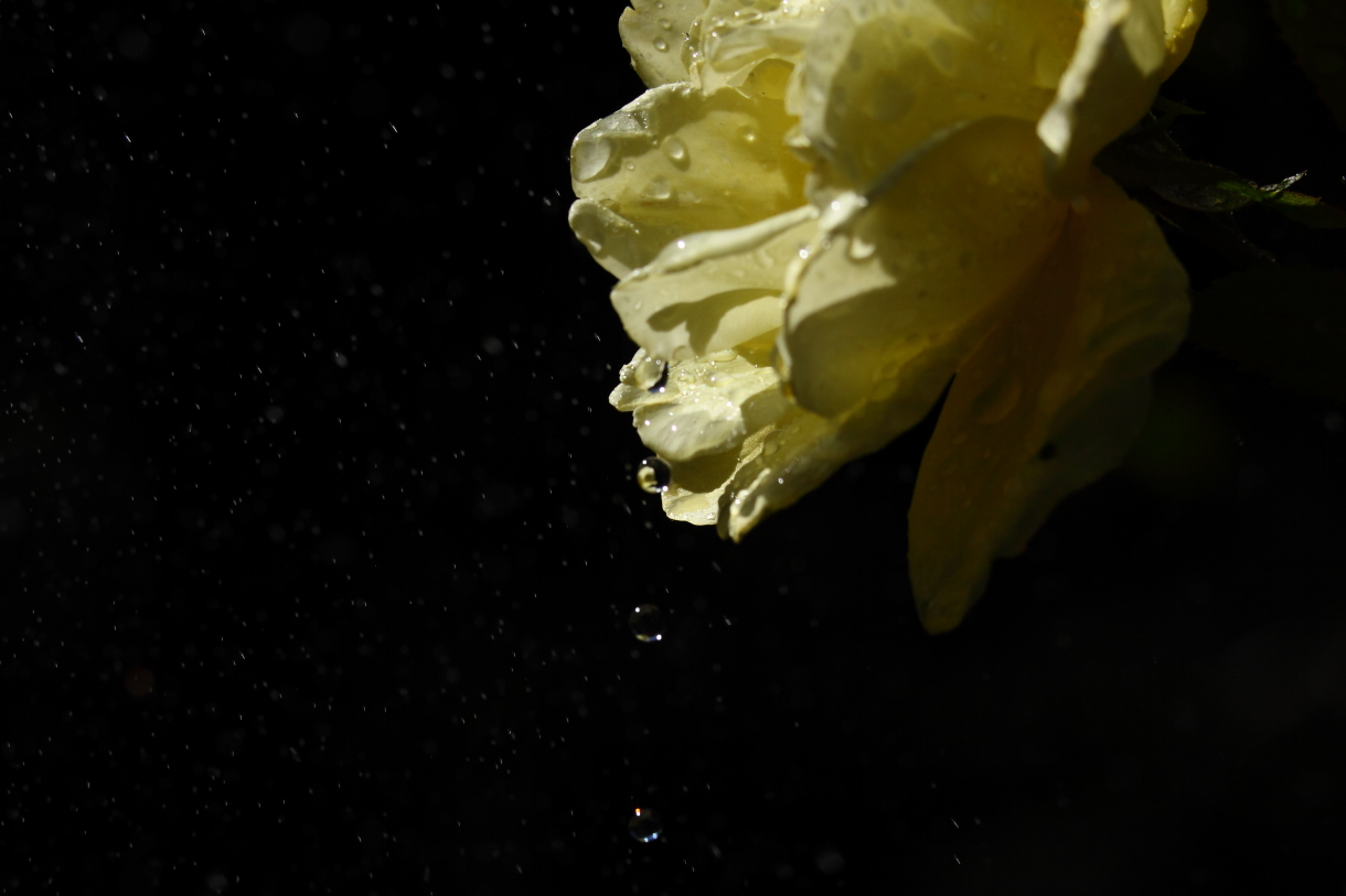 2013 09 19 HTP 08403