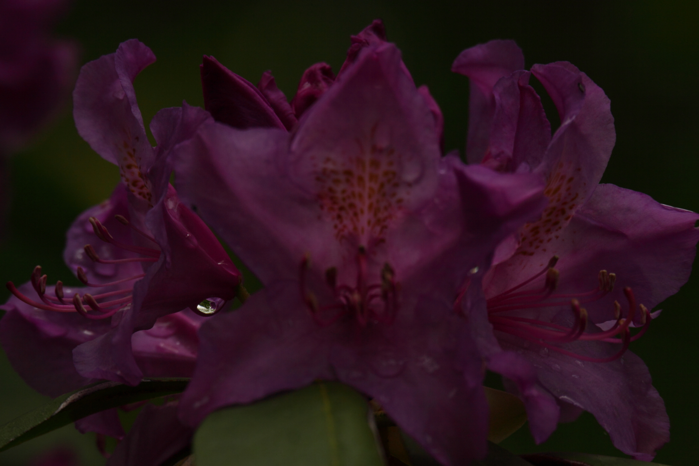 2014 05 24 HTP 54159