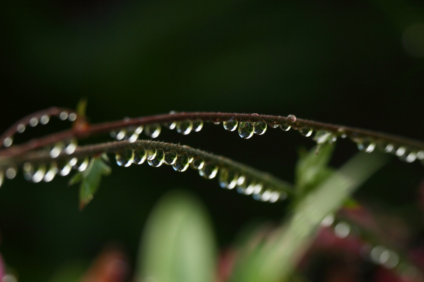2014 06 05 HTP 58754