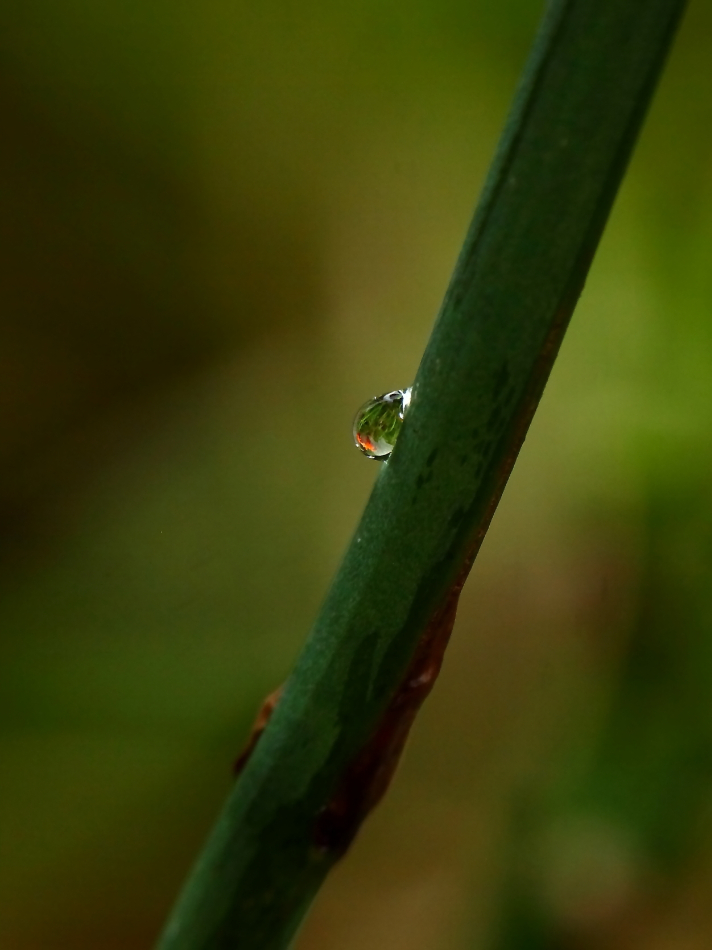 2014 07 15 HTP 72816e