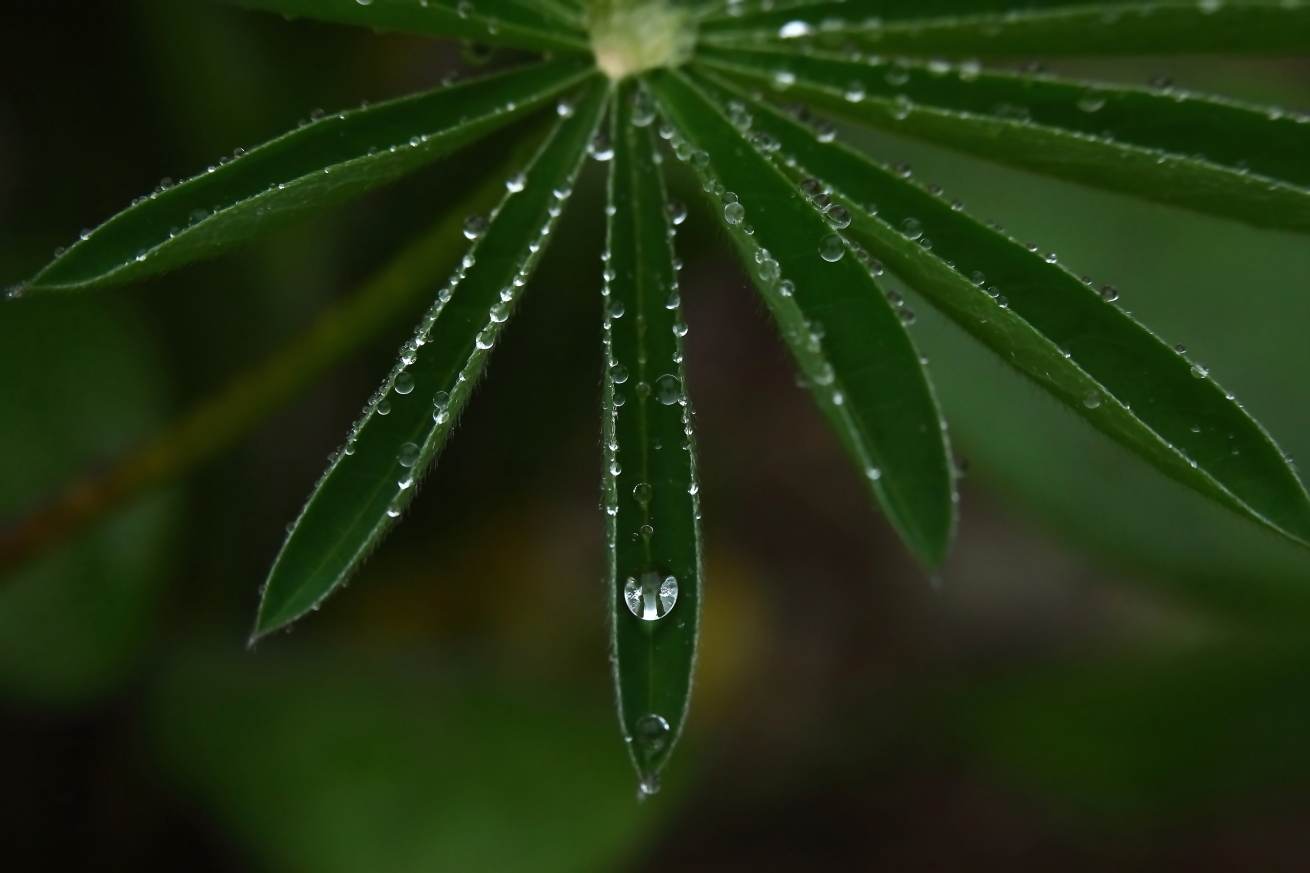 2015 05 19 HTP 000056201e