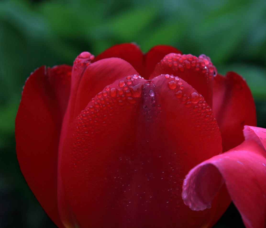 2019 05 02 HTP 90042e