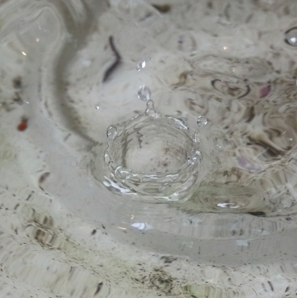 2019 07 23 HTP 50091e