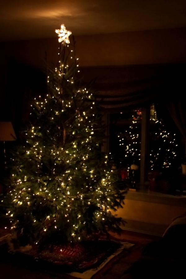 2009 12 23 IMG 5128