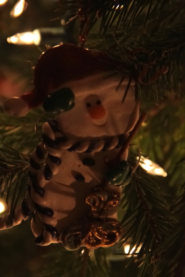 2009 12 23 IMG 5194e