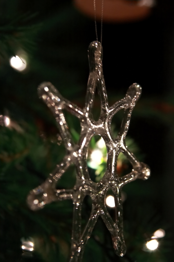 2009 12 23 IMG 5204ec