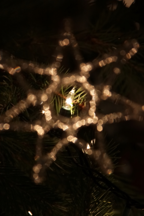 2009 12 23 IMG 5213