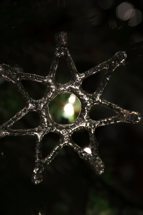 2009 12 23 IMG 5214e