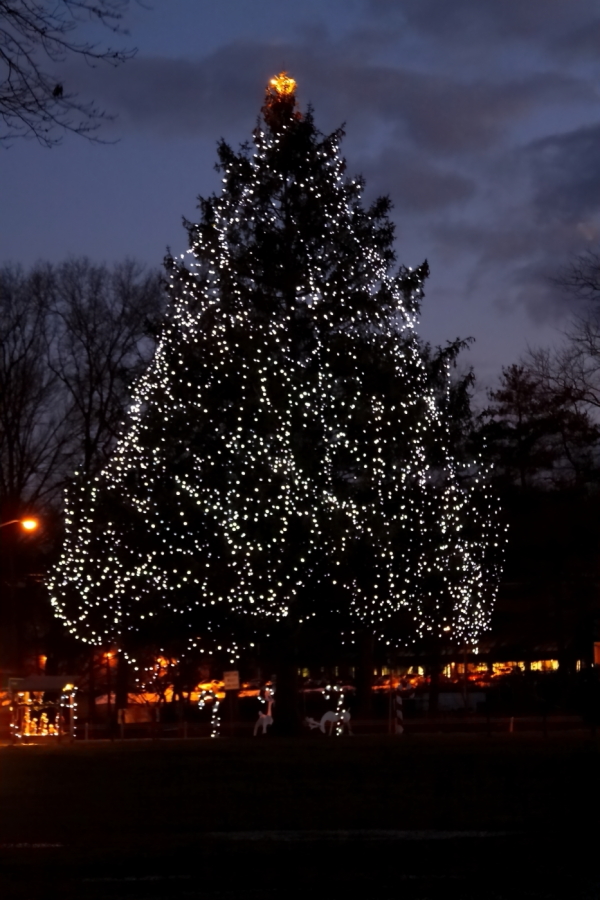 2009 12 28 IMG 5327