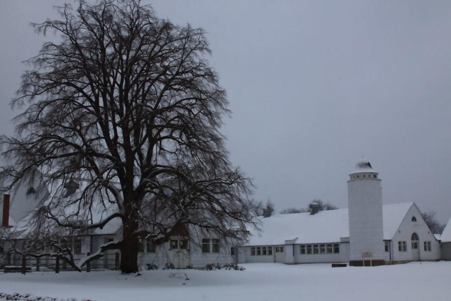 2010 02 16 IMG 8675