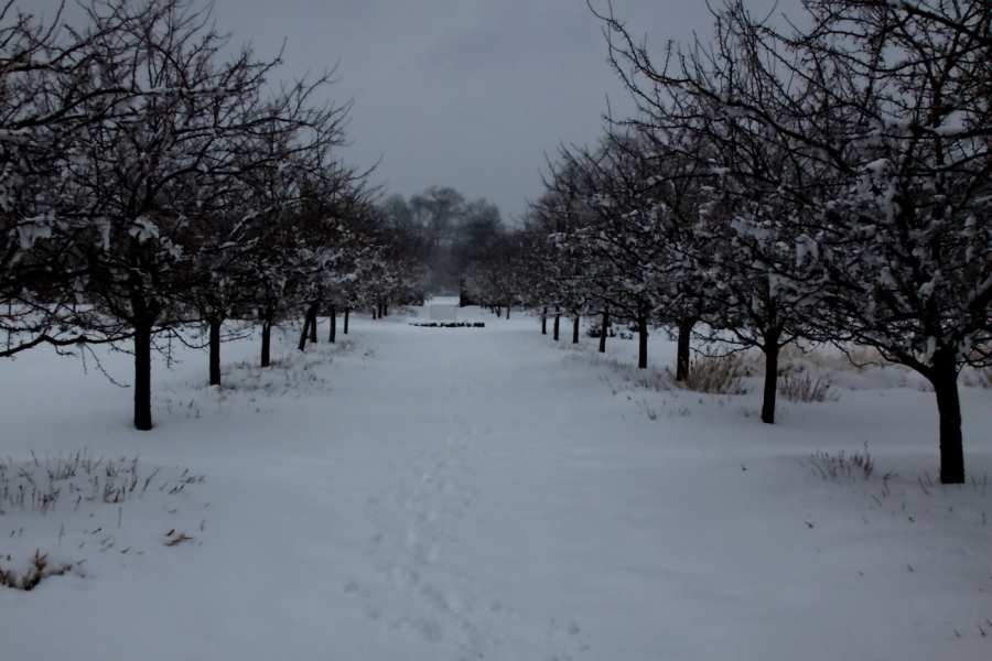 2010 02 16 IMG 8683e