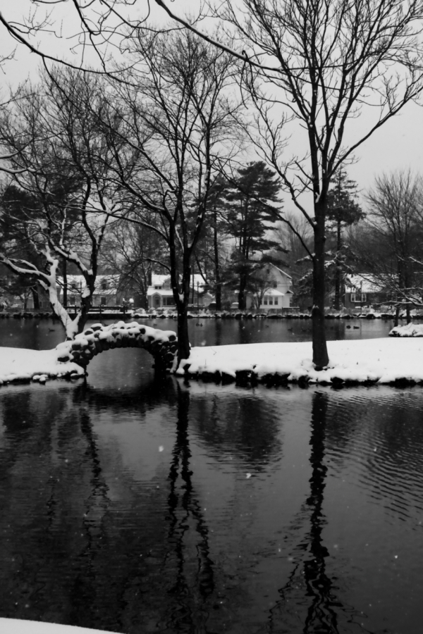 2010 02 26 IMG 8946m