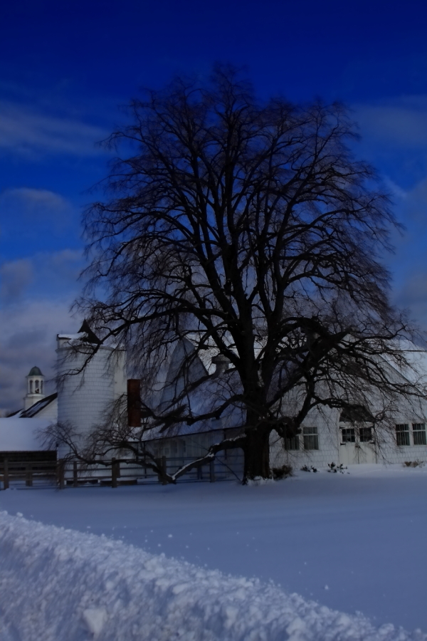 2011 01 12 IMG 16074