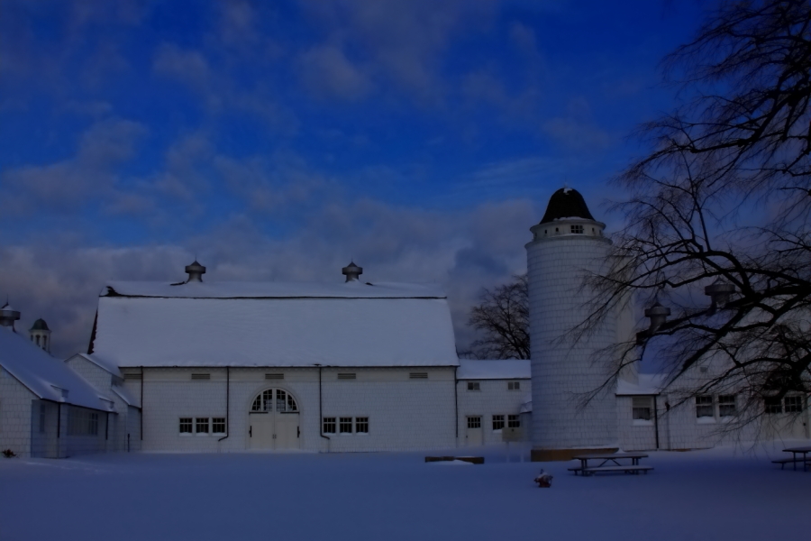 2011 01 12 IMG 16081