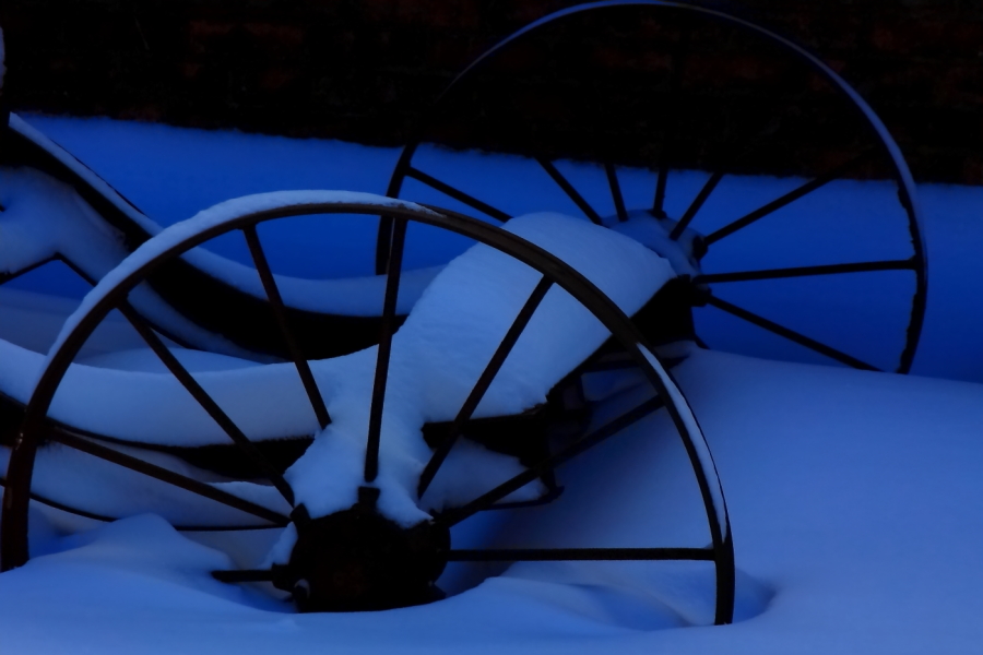 2011 01 12 IMG 16089e